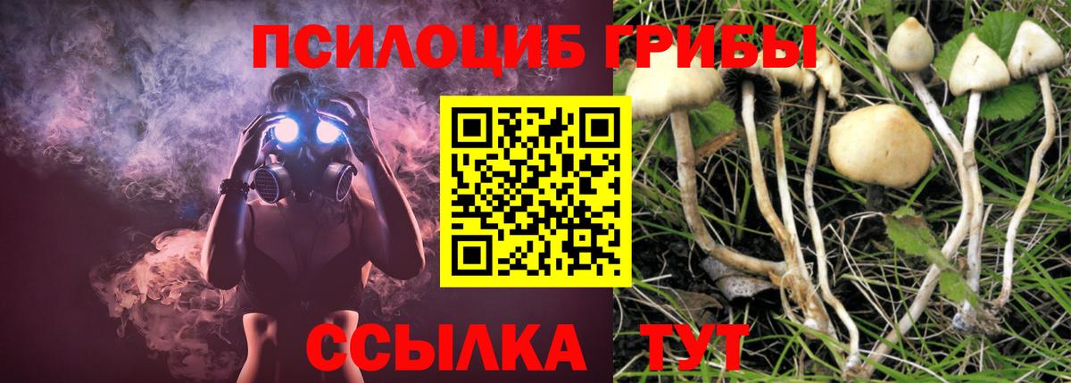 Звенигород  Псилоцибиновые грибы ЛСД  Галлюциногенные грибы Psilocybine cubensis  Вход с VPN 